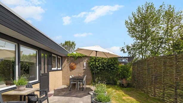 Un espace patio aménagé avec une table et des chaises, une plante en pot et une clôture en osier.