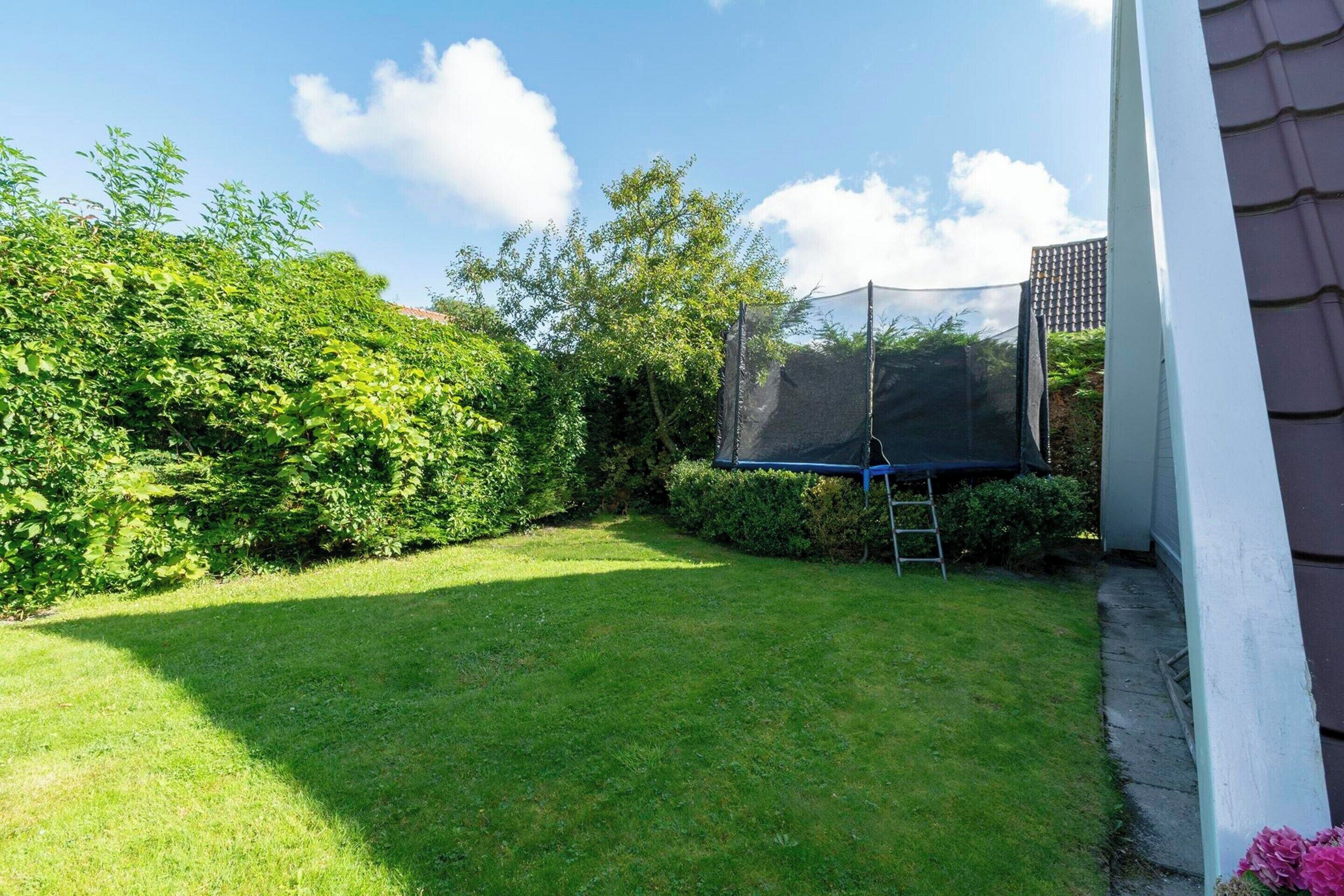 Een achtertuin met een trampoline, omgeven door weelderige begroeiing en een heldere lucht.