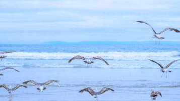 別墅 | 住宿景觀