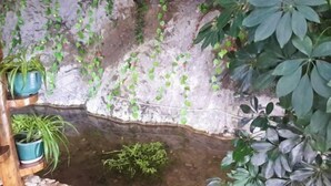 Un petit jardin d’intérieur agrémenté d’un élément décoratif avec de l’eau, de plantes en pot et d’un mur en pierre.