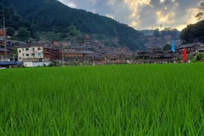 Unclassified image, 3 of 43, button - Xijiang miao village listen to tao xuan hotel (Leishan)