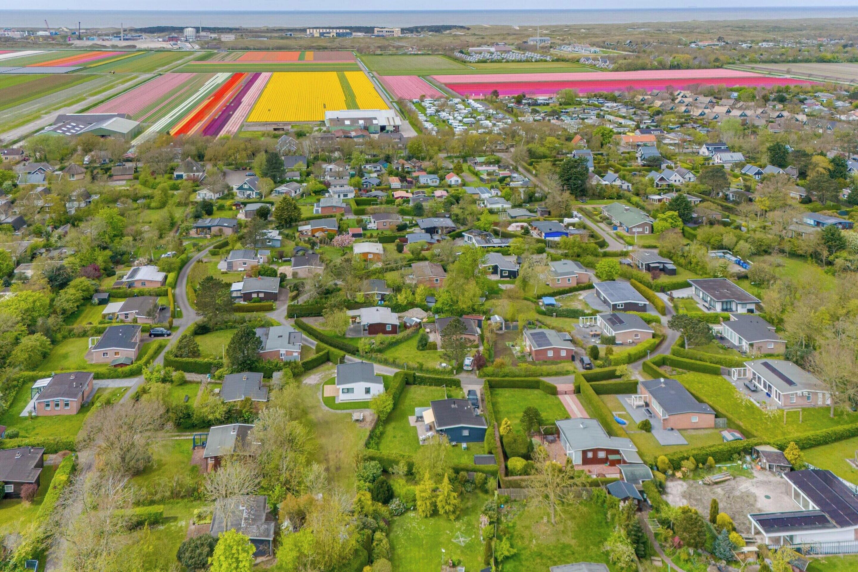 An aerial view of a residential area with houses, green lawns, and fields of flowers.