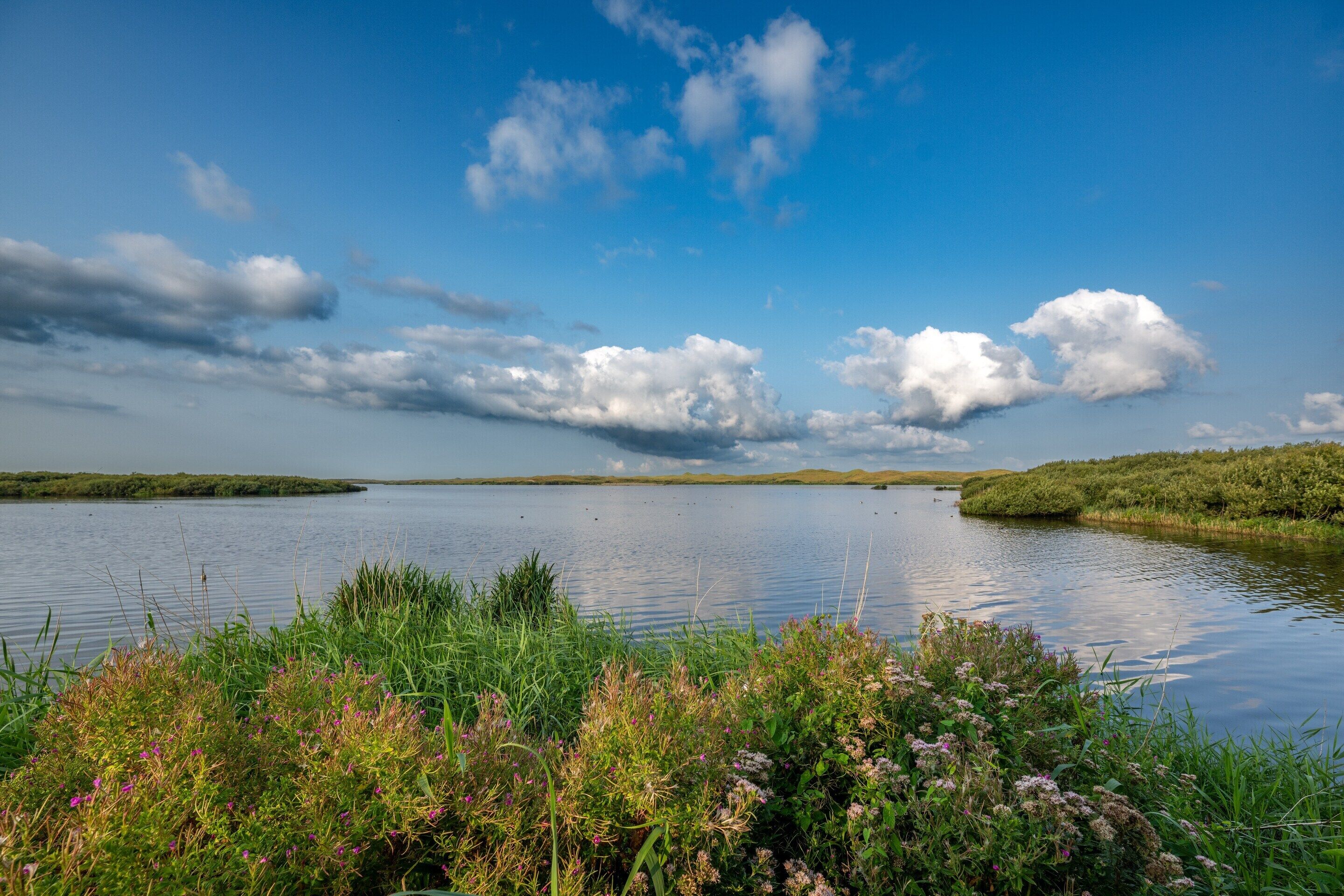 Tent | View from property
