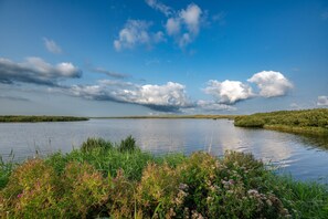 View from property - Tent Lodge With Private Kitchen and Bathroom (Callantsoog)