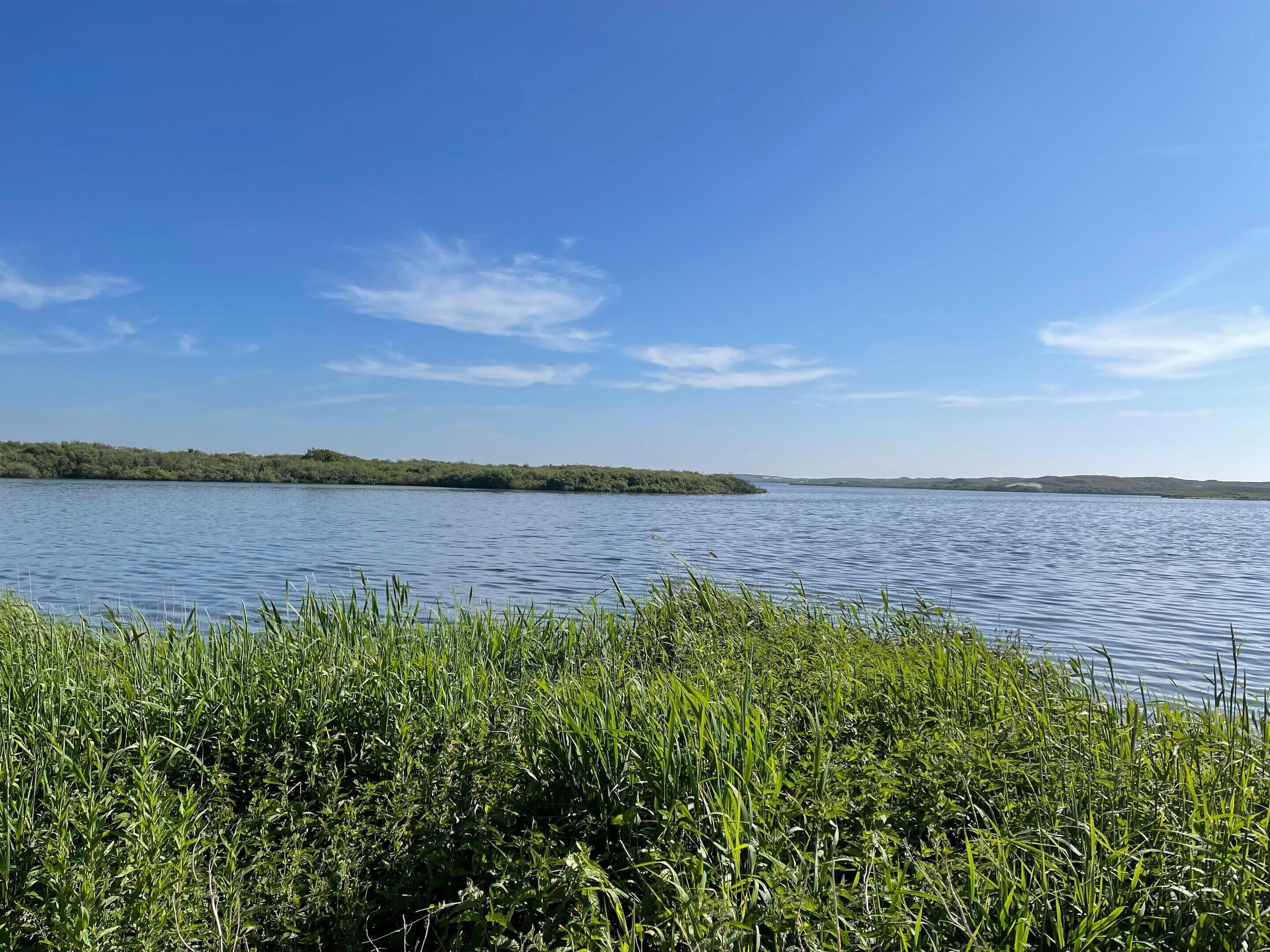 A calm lake with grassy banks and distant hills under a clear sky.