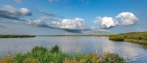 Leilighet | Utsikt fra overnattingsstedet