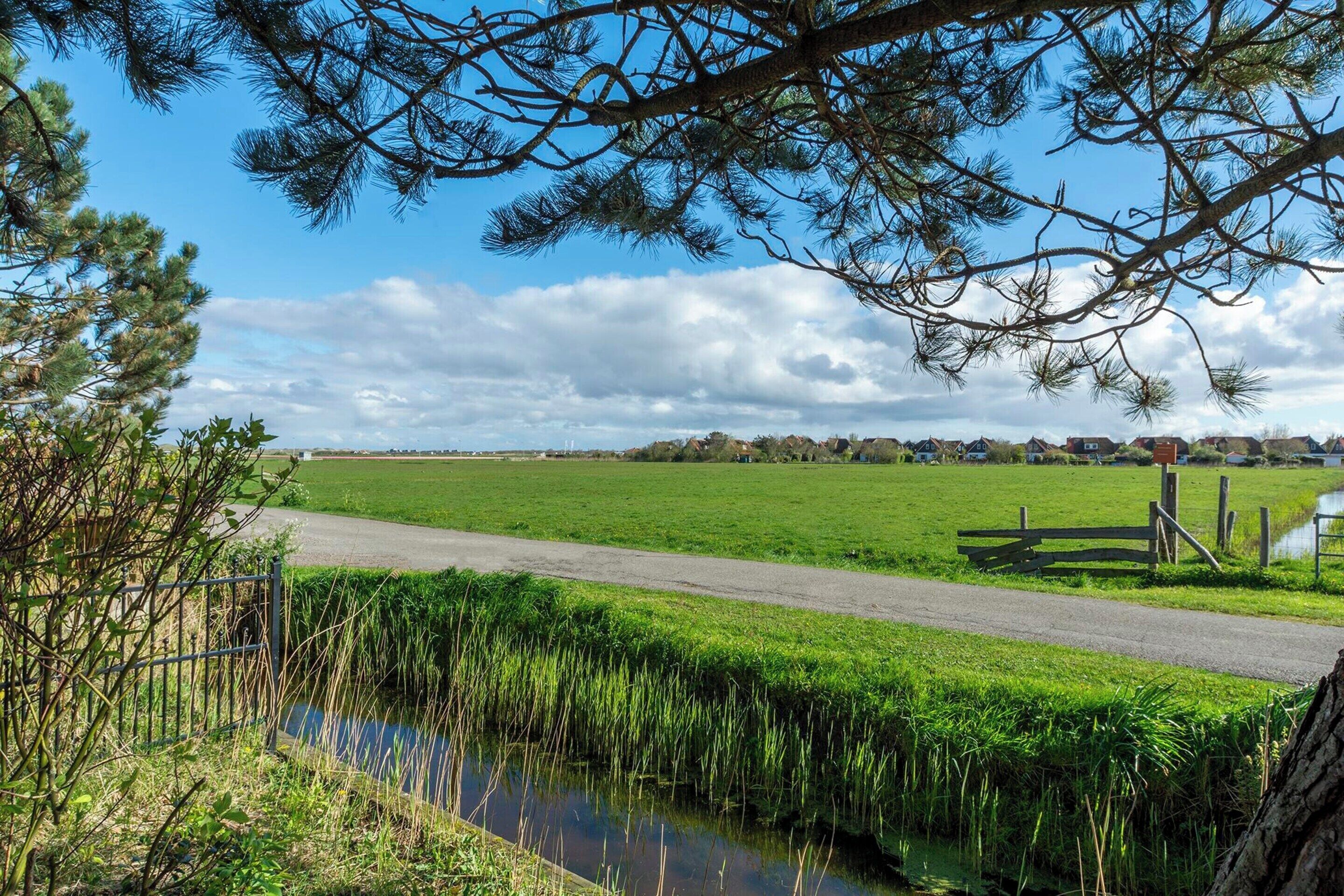 A rural landscape with a road, a small water body, and a distant view of houses.
