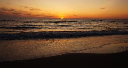 Suite in Schoorl Near Schoorlse Duinen