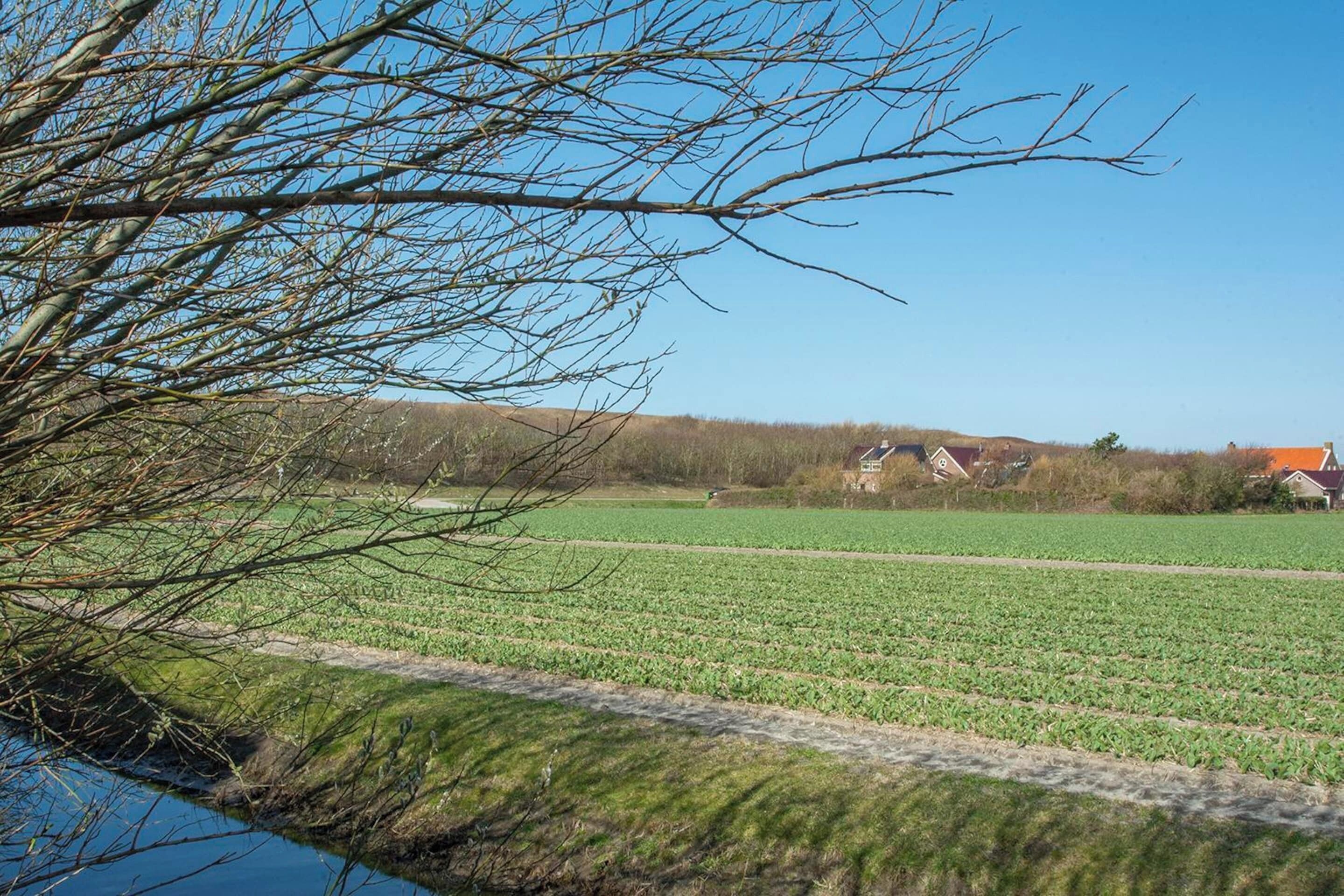 Un paysage rural avec des champs, une étendue d’eau et des maisons en arrière-plan.