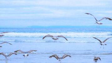 Apartment | View from property