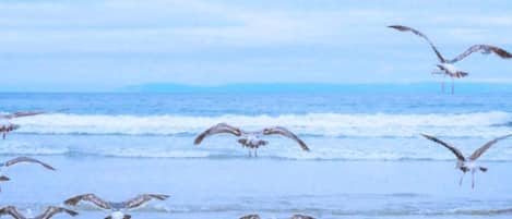 Apartment | View from property