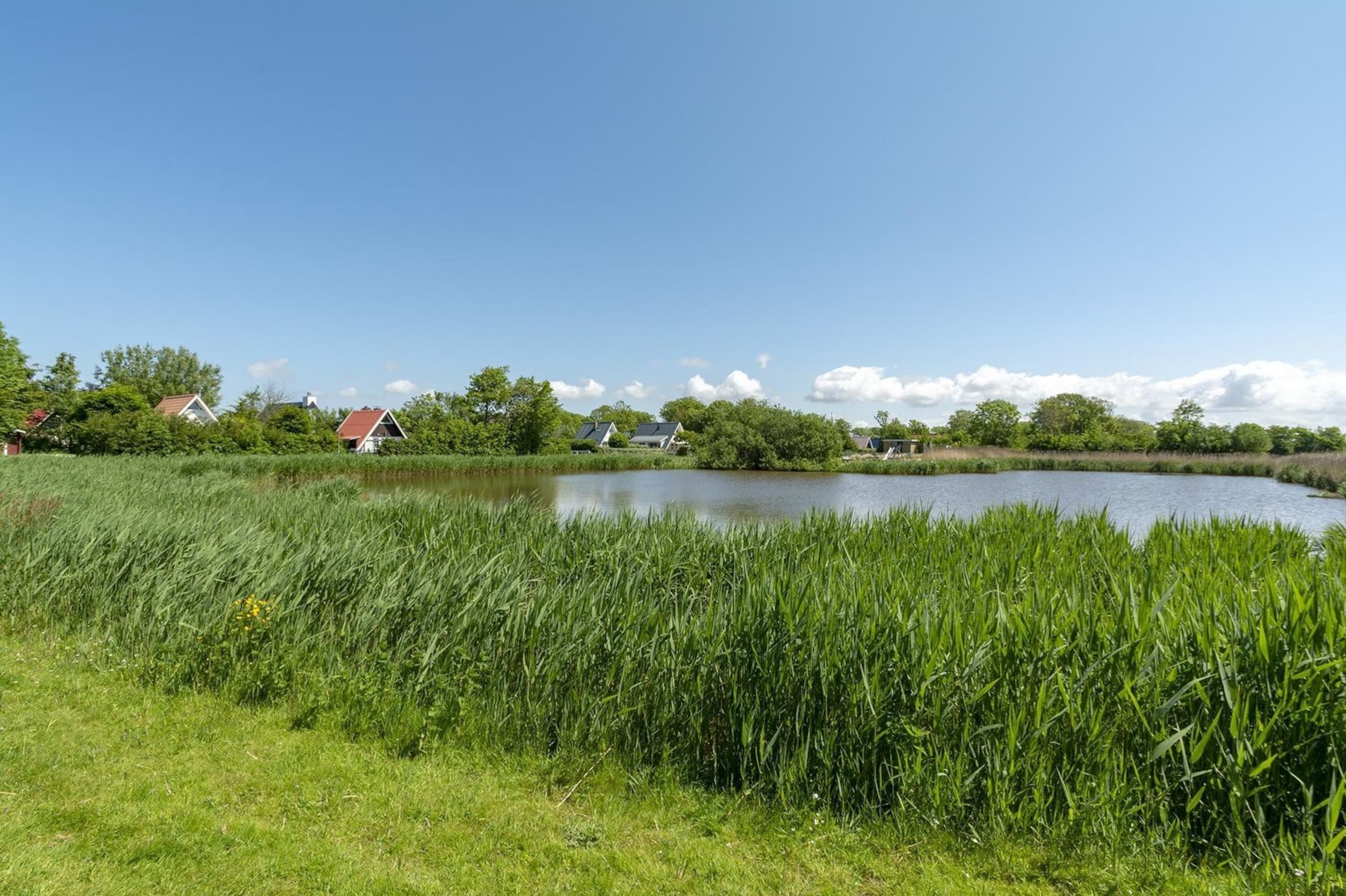 Un paysage paisible au bord d’un lac, avec un pré verdoyant au premier plan, un lac calme et des maisons en arrière-plan.
