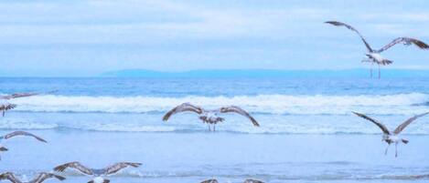 Apartment | View from property