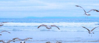 Apartment in De Koog Near Texel Beach