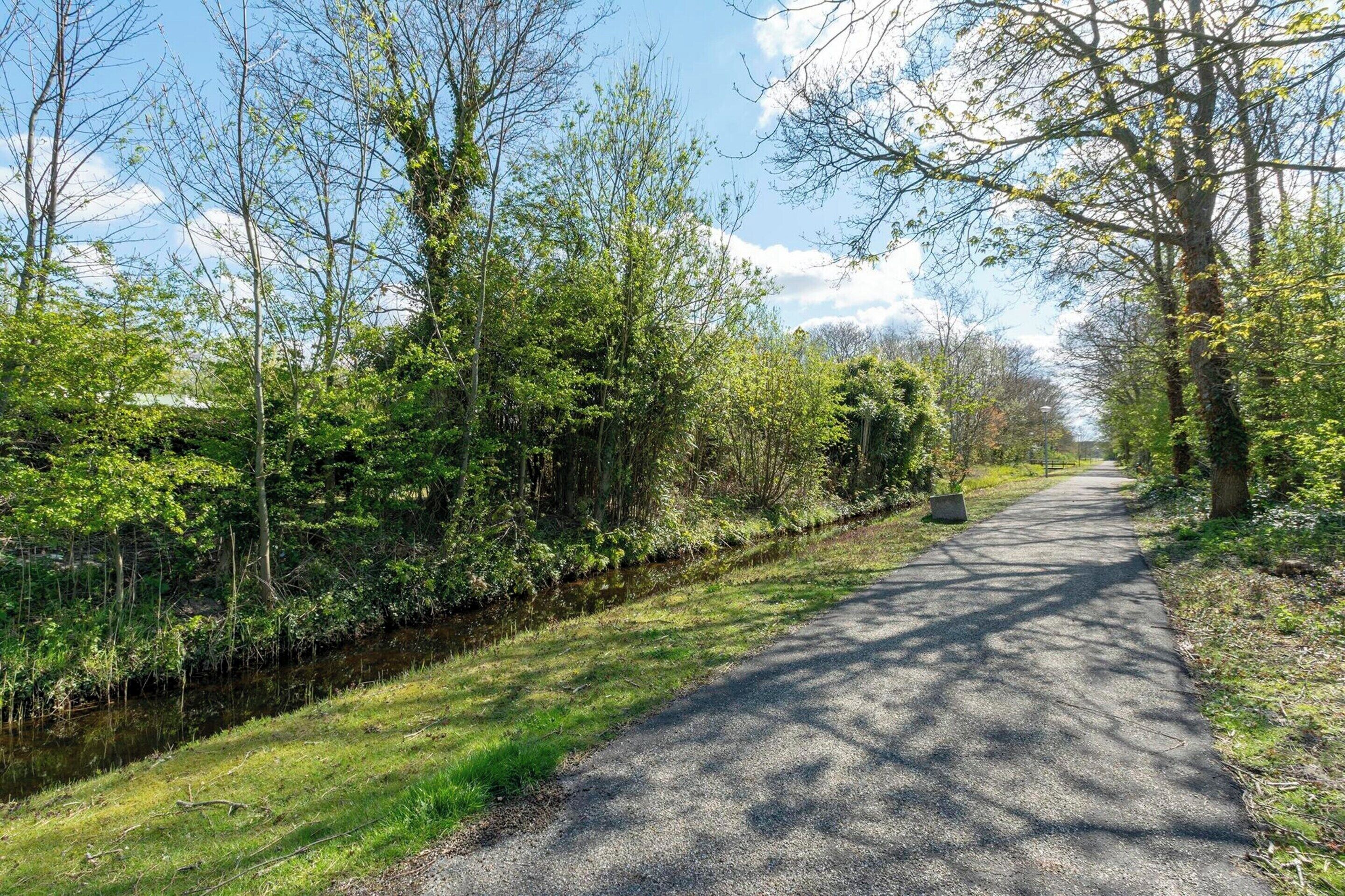 A narrow paved path flanked by lush greenery and trees, leading towards a distant point.
