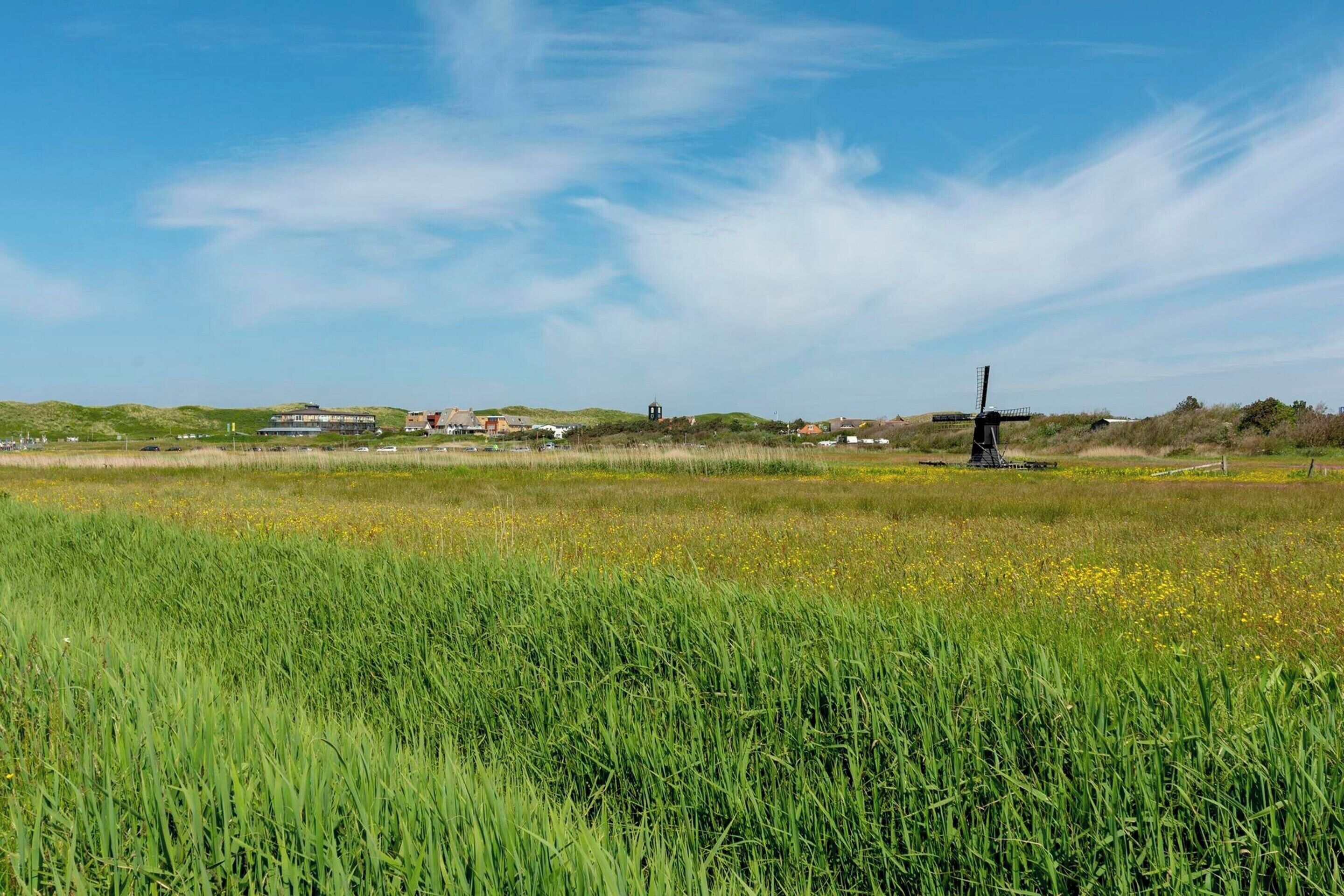 A grassy field with a windmill and buildings in the background.