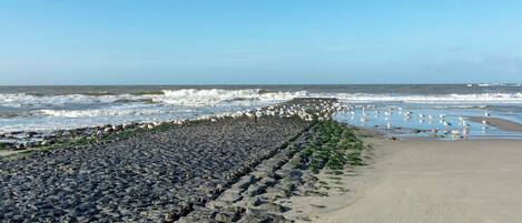 A coastal beach with a rocky breakwater and a sandy shore.