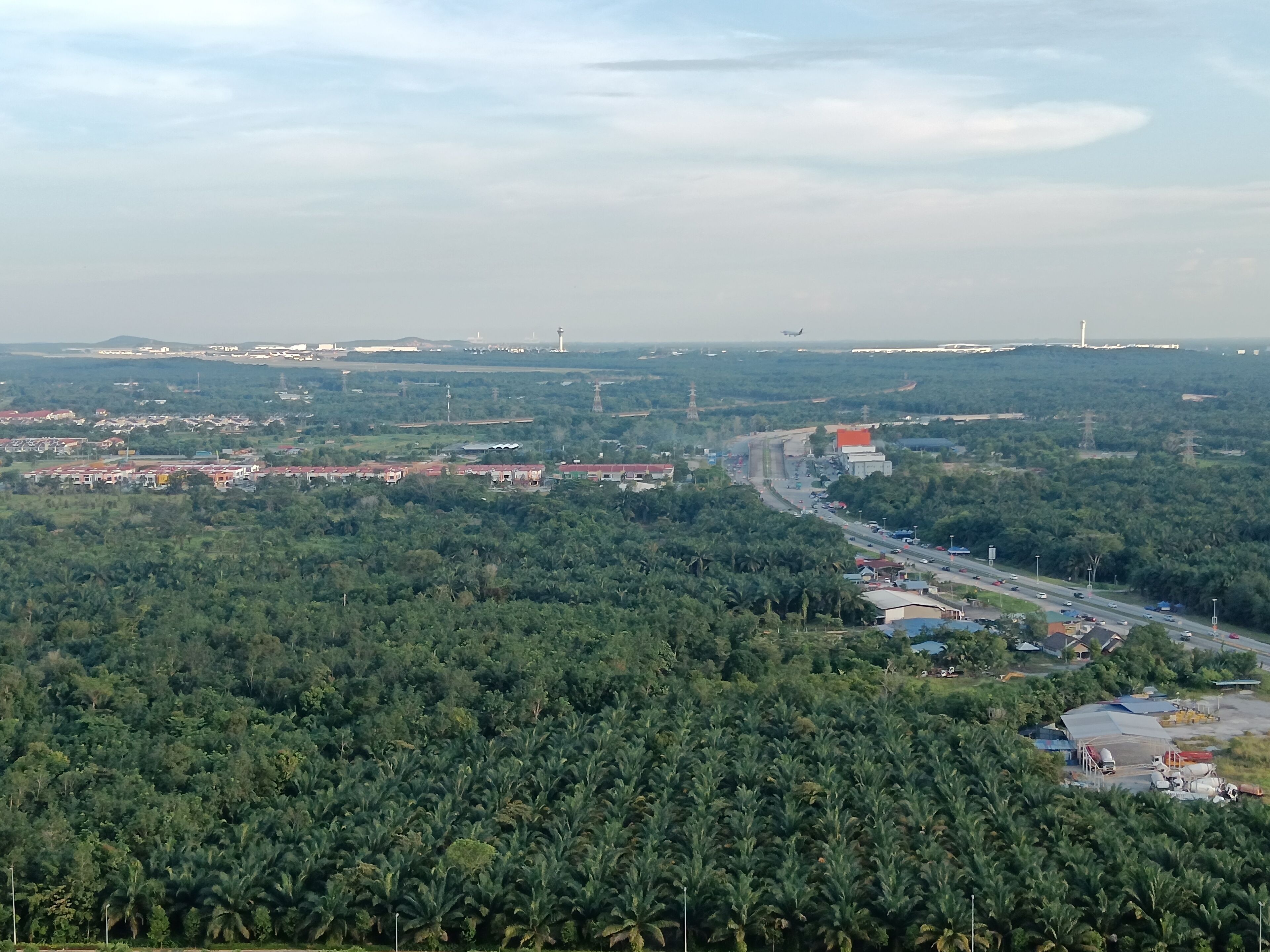 A coastal cityscape with dense greenery, a prominent highway, and distant buildings.