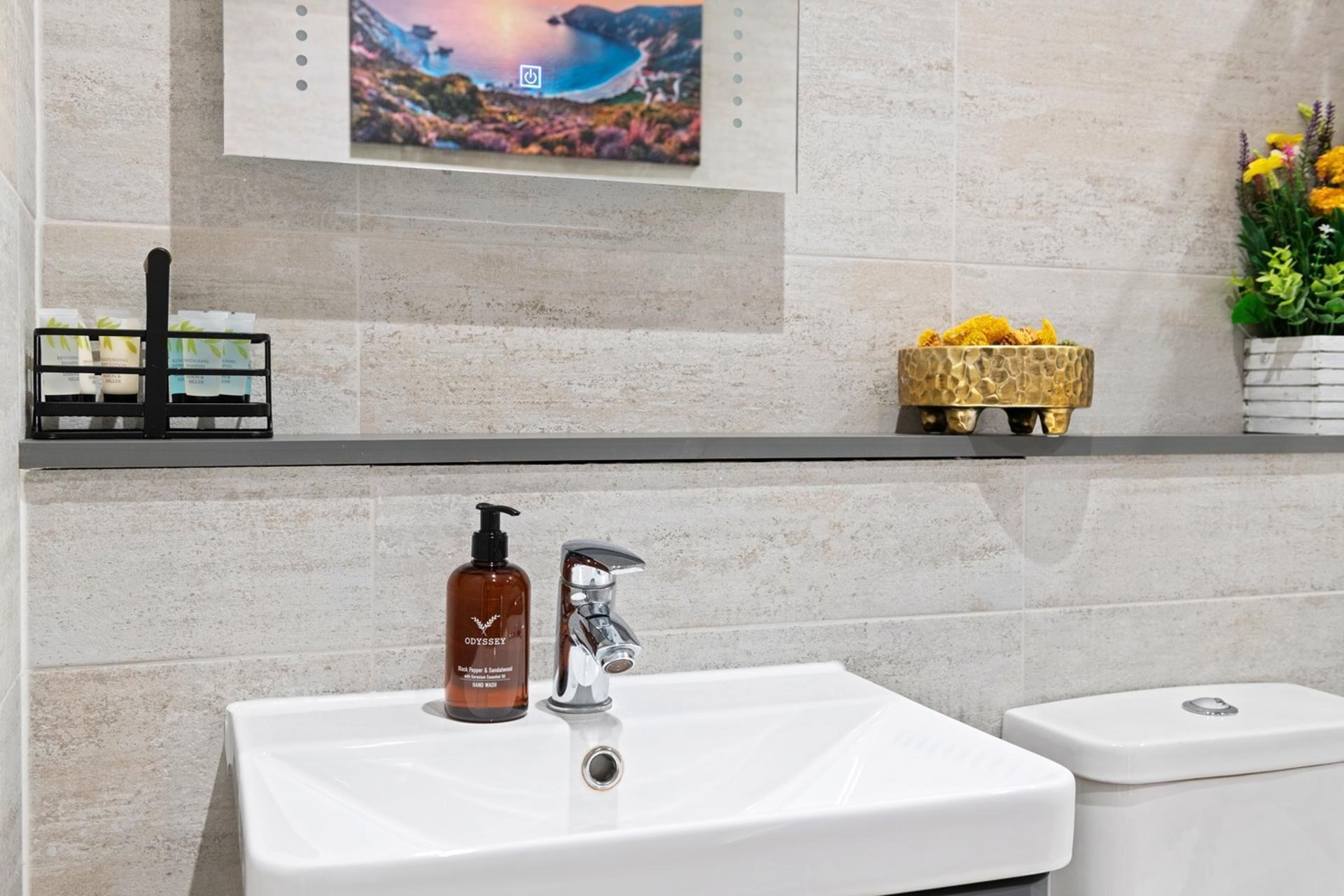 A bathroom with a white sink, a bottle of hand soap, and a small decorative plant.