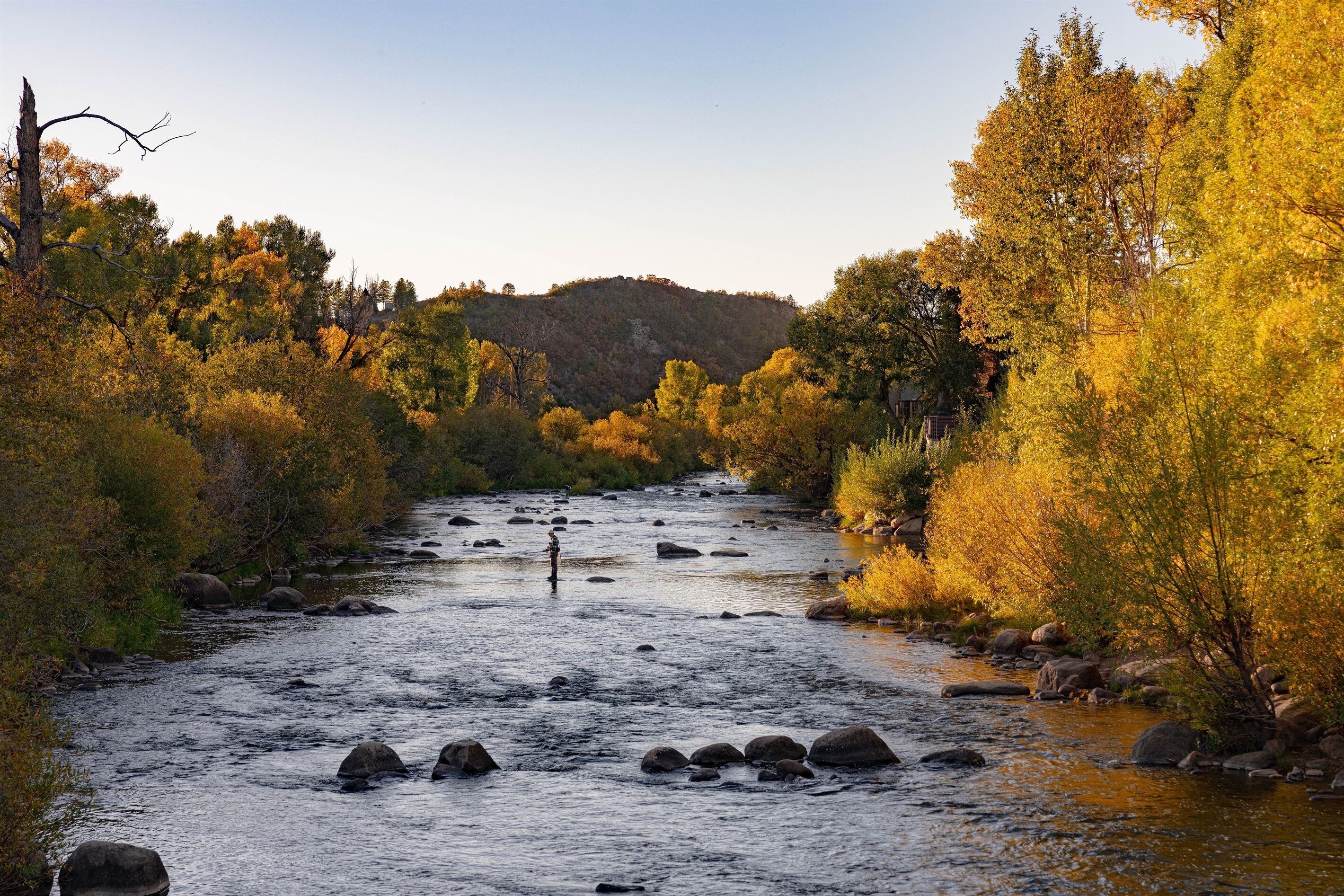 A river flowing through a forested area with trees displaying autumn colors.