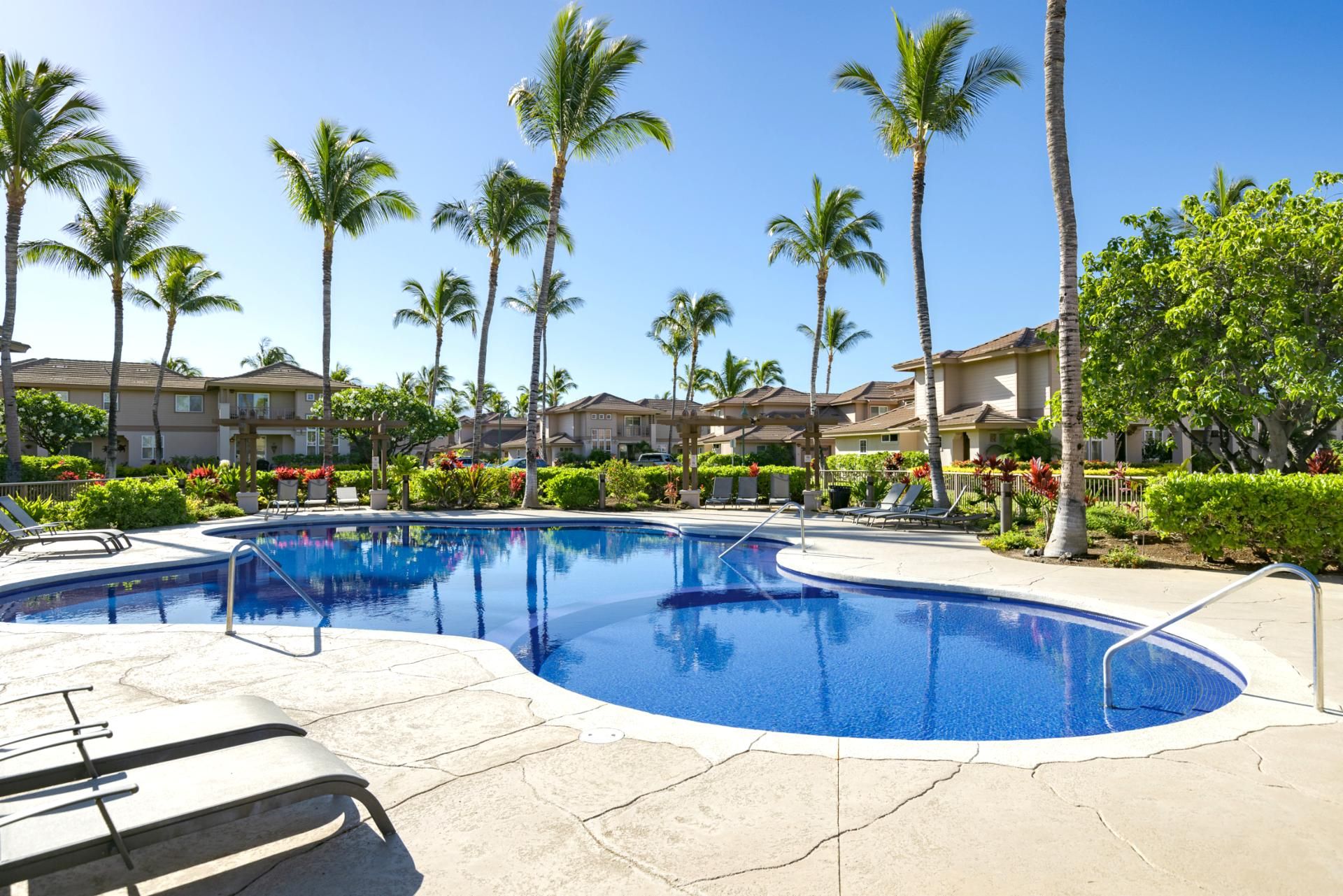 A swimming pool with lounge chairs, surrounded by palm trees and a residential building.