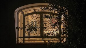 Une fenêtre ornée d’une grille en fer forgé, entourée de feuillage.