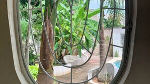 Une fenêtre ornée d’une grille métallique, à travers laquelle on aperçoit un jardin luxuriant, avec différentes espèces de plantes, et une structure en béton.