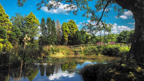 A serene pond surrounded by lush greenery and trees, with a wooden fence in the background. - Spacious dog-friendly cottage in an idyllic rural setting near amazing beaches (Boncath)