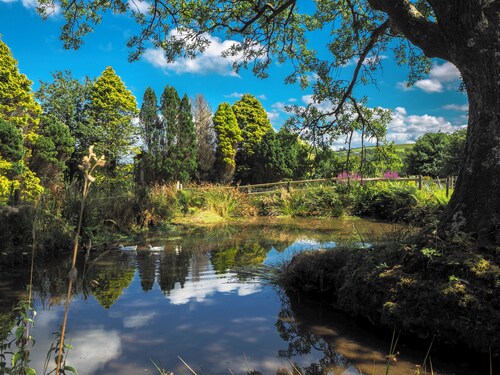 Spacious dog-friendly cottage in an idyllic rural setting near amazing beaches