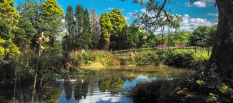 Spacious dog-friendly cottage in an idyllic rural setting near amazing beaches