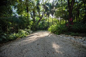 Terrain de l’hébergement 