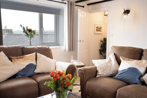 Älytelevisio, takka, kirjoja