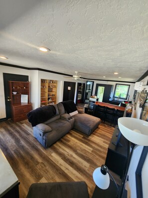 Smart TV, fireplace, books