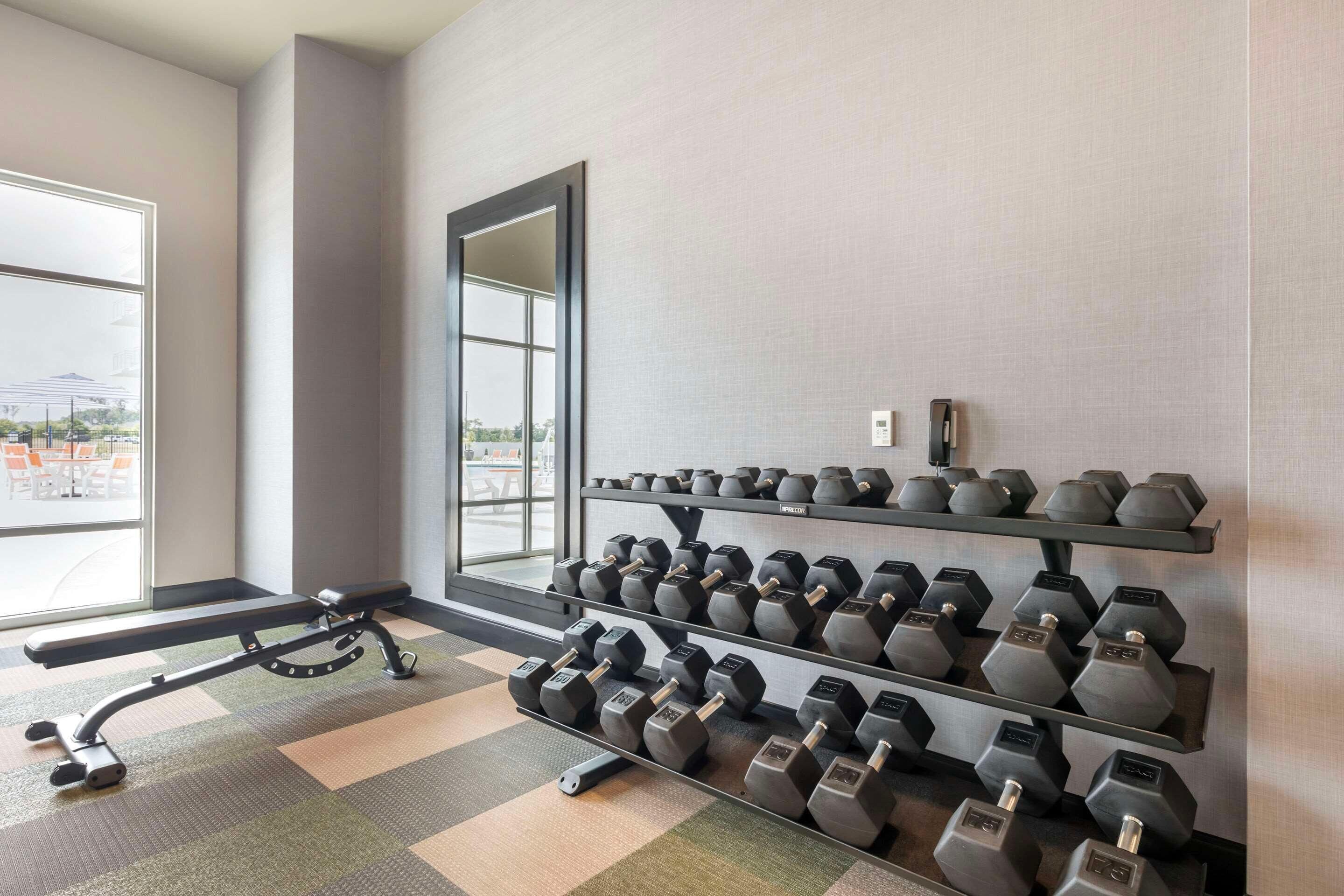 A gym with a bench, dumbbells, and a large window.