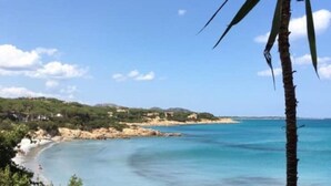 A beach with clear blue waters, a palm tree, and a hilly landscape in the background. - Apartment in villa with direct access to the sea, suitable for families with children (Sas Linnas Siccas)