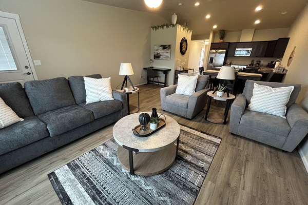 Comfortable Living Room with 65 Inch Smart TV.  Queen Sofa Sleeper.