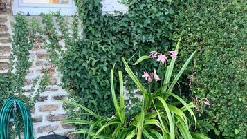 Detalle del exterior