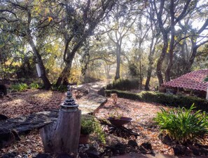 Property grounds - Hermosa Cabaña en el Corazón del Monte Para 4 Personas (Ocotitla)