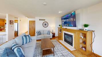 Smart TV, fireplace, books