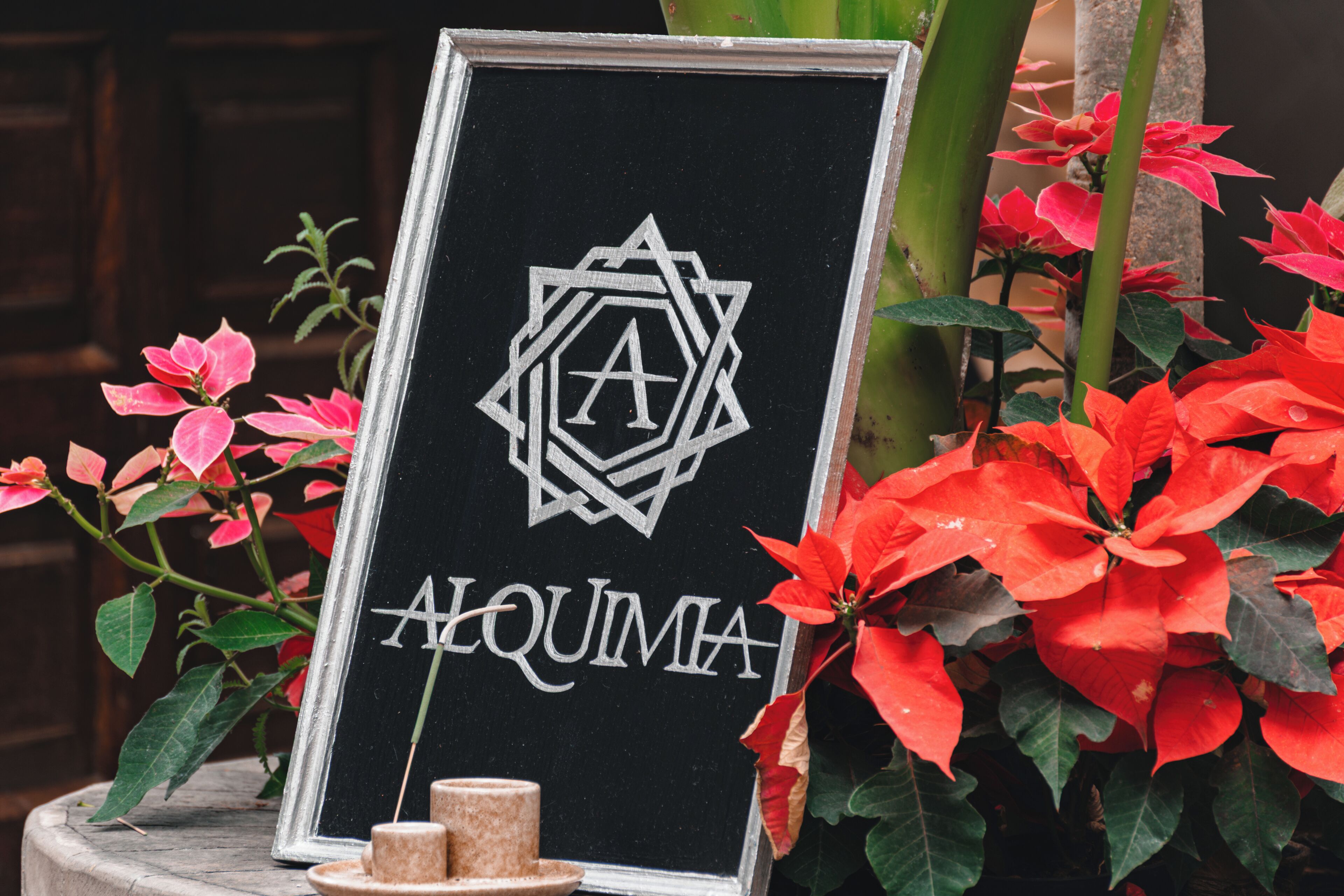 Une plaque encadrée, ornée d’un motif géométrique et portant le mot « ALQUIMIA » sur un fond noir, le tout entouré de plantes de poinsettia rouges.