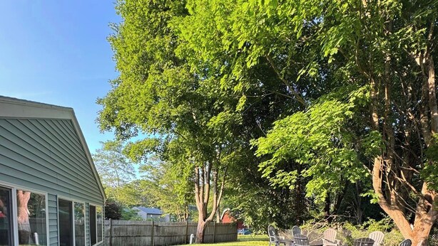 Un cortile con una casa, una recinzione in legno e un albero grande.