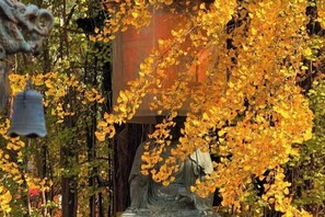 Vue depuis l’hébergement