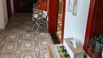 A hallway with patterned flooring, a chair, a tissue box, and a plant.