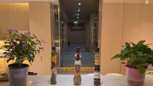 A reception area with a reception desk, potted plants, and a hallway in the background. - Piaohome Chain Hotel (Beijing Guomao Dawang Road Subway Station Store) (Beijing)