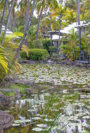 Property grounds. Unit 48 - Stylish Unit, 4* Resort, Close to Noosa River