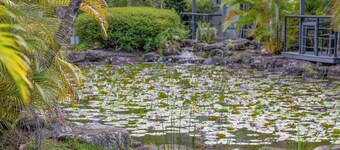 Unit 48 - Stylish Unit, 4* Resort, Close to Noosa River