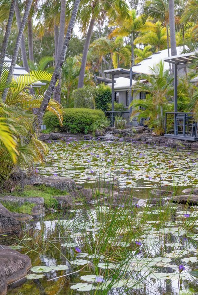 Unit 48 - Stylish 1 Bedroom ground level unit in Noosaville