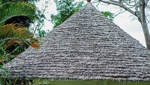 A house with a thatched roof, a brick exterior, and a garden with a pathway leading to the entrance. - Ilboru Safari Lodge - The Platinum Route Company Limited (Arusha)