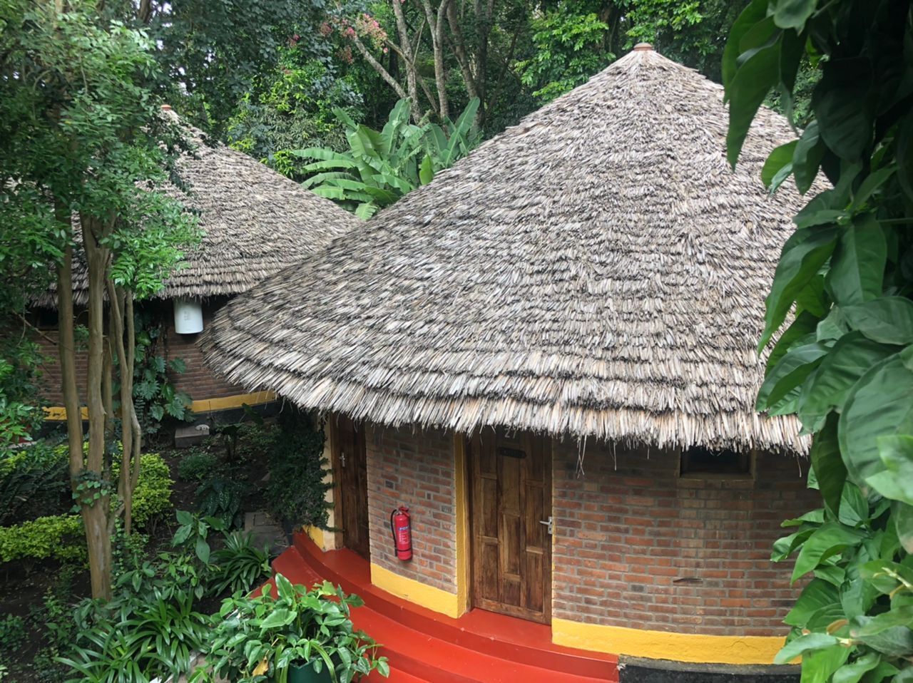 Ropa de cama de alta calidad y minibar con artículos gratuitos 