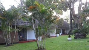 A bungalow with a thatched roof, surrounded by a well-maintained lawn and palm trees. - Ilboru Safari Lodge - The Platinum Route Company Limited (Arusha)